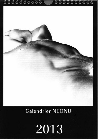 Calendrier Neonu 2013